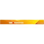 30-07-2010 - lollies - heute im swr - banner swr.jpg